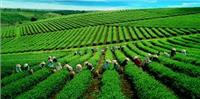 NQ HĐQT về việc đổi tên VNI Thái Nguyên thành VNI Tây Bắc