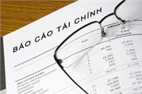 BÁO CÁO TÀI CHÍNH QUÝ II NĂM 2020